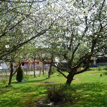 Apartment In Siesbach