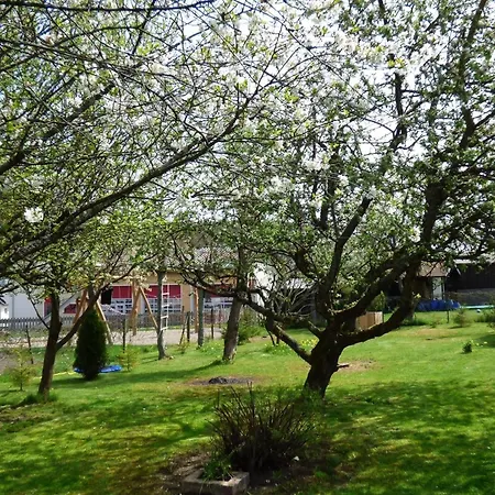In Siesbach